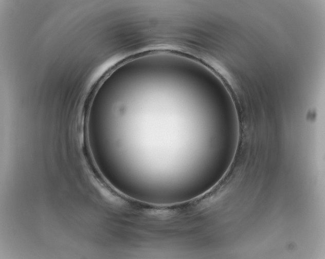 X0000091301127200708172203