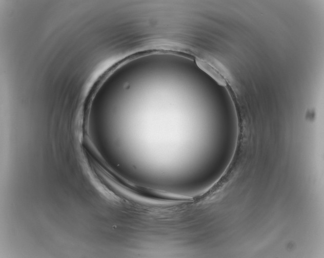 X0000091301128200708172203