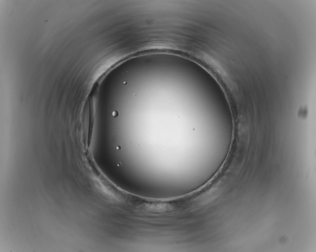 X0000091301129200708172203