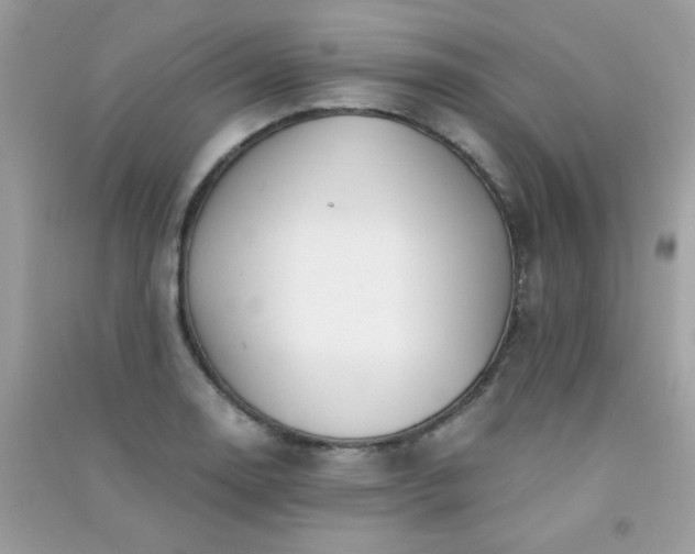 X0000091301130200708172203