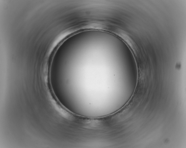 X0000091301131200708172203