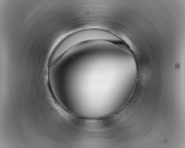 X0000091301132200708172203