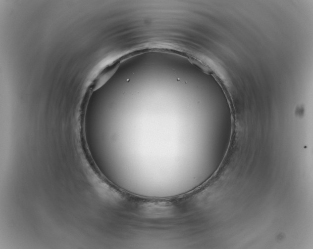 X0000091301133200708172203