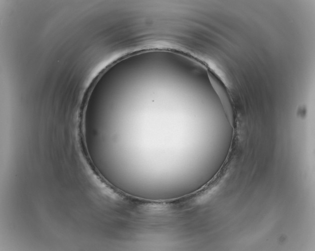 X0000091301134200708172203