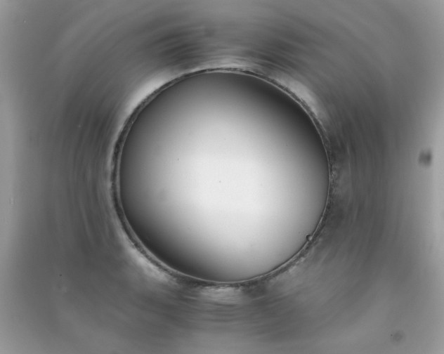 X0000091301135200708172203