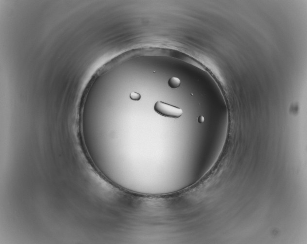 X0000091301136200708172203