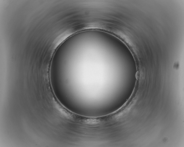 X0000091301137200708172203