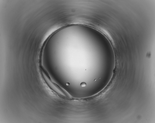 X0000091301138200708172203