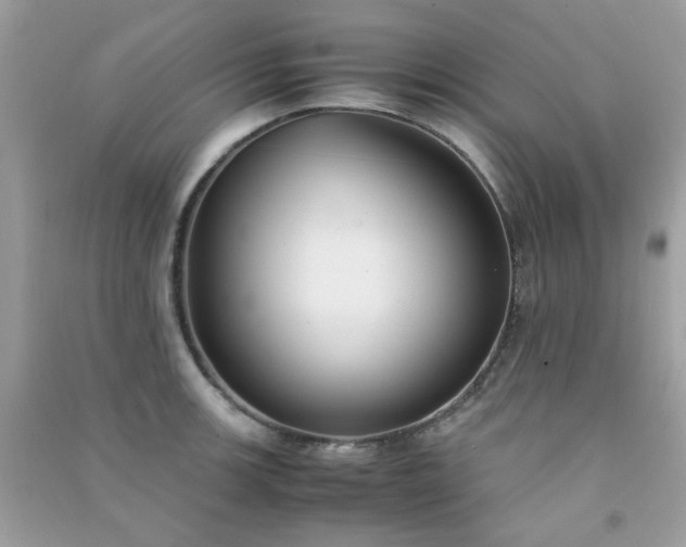 X0000091301139200708172203