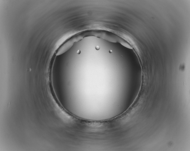 X0000091301141200708172203