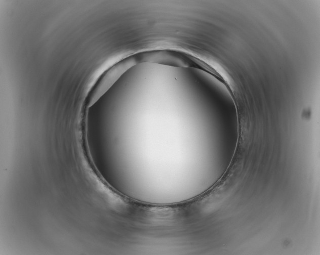 X0000091301142200708172203