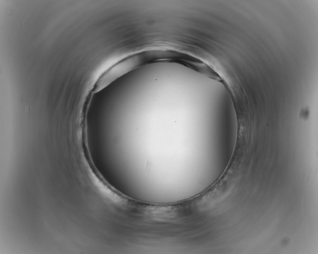 X0000091301143200708172203