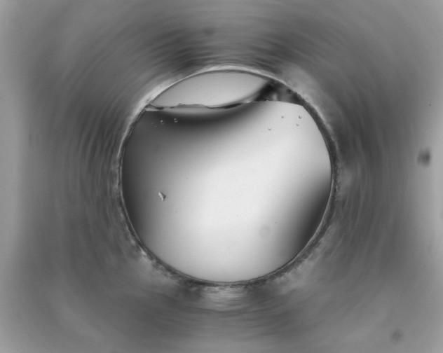 X0000091301145200708172203