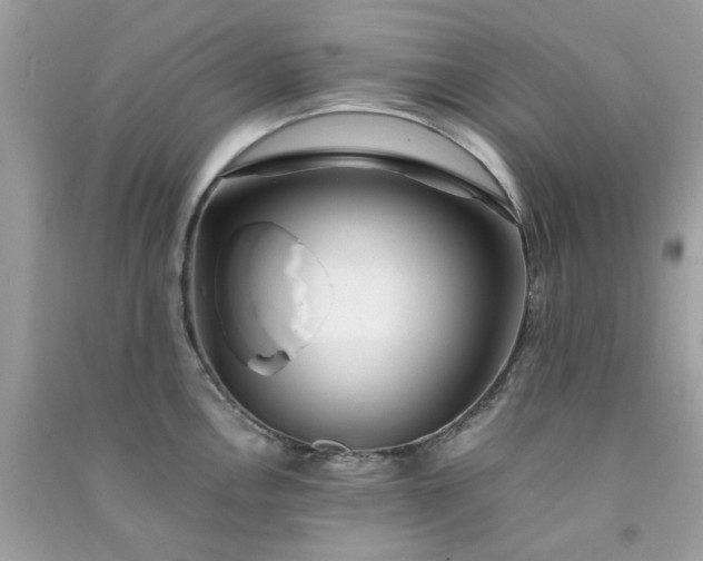 X0000091301146200708172203