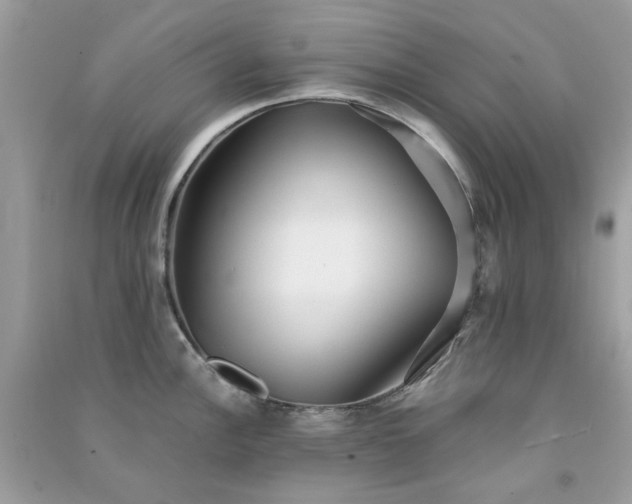 X0000091301148200708172203