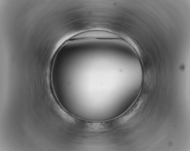 X0000091301149200708172203