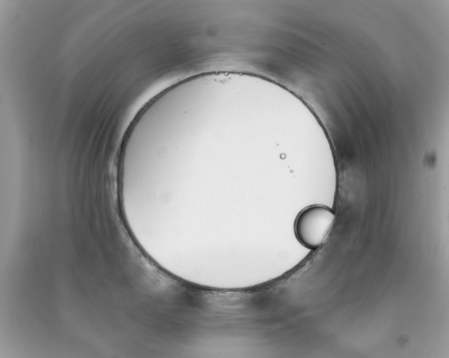 X0000091301150200708172203