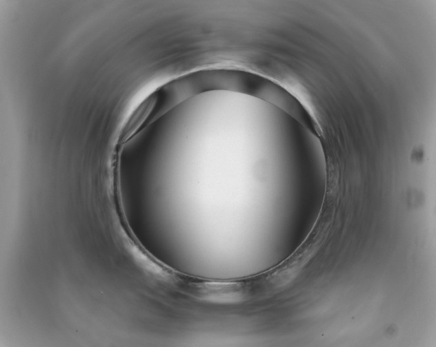 X0000091301151200708172203