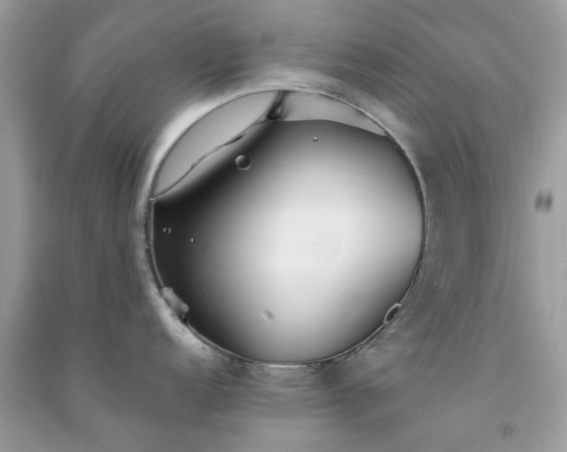 X0000091301152200708172203