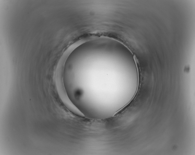 X0000091301153200708172203