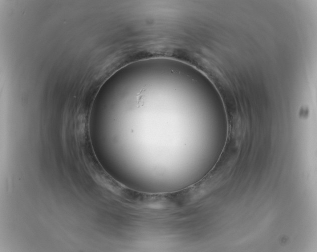 X0000091301154200708172203