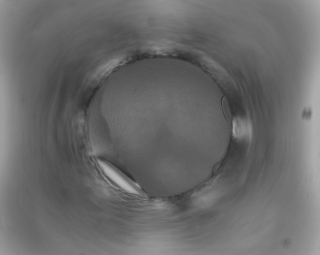 X0000091301155200708172203