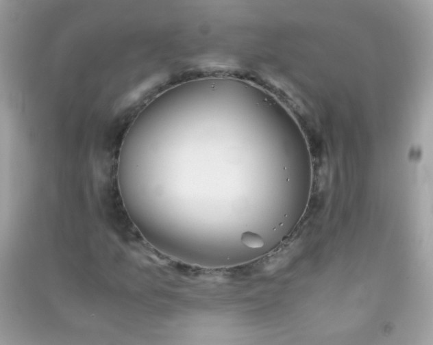 X0000091301157200708172203