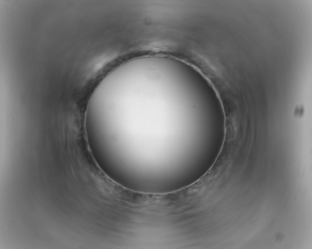 X0000091301158200708172203