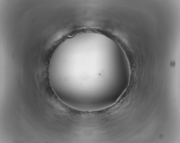 X0000091301159200708172203