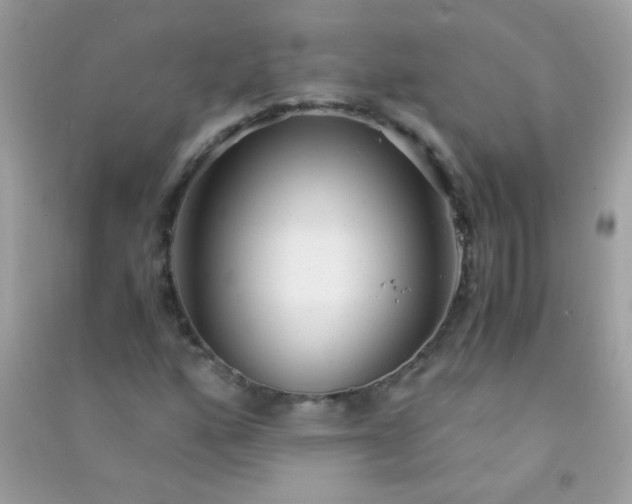 X0000091301160200708172203