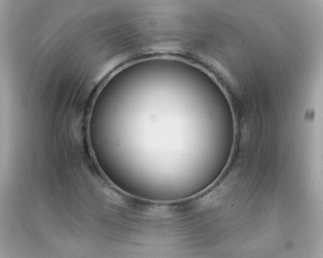 X0000091301162200708172203