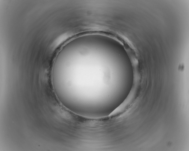 X0000091301163200708172203