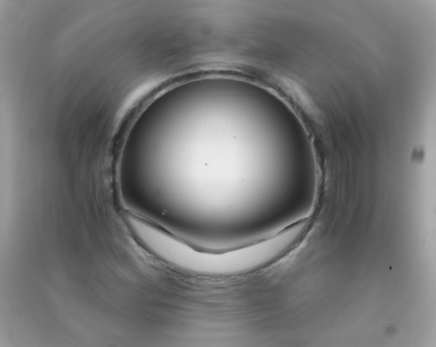 X0000091301164200708172203