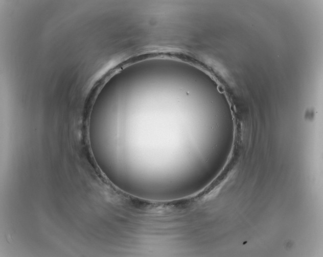 X0000091301165200708172203