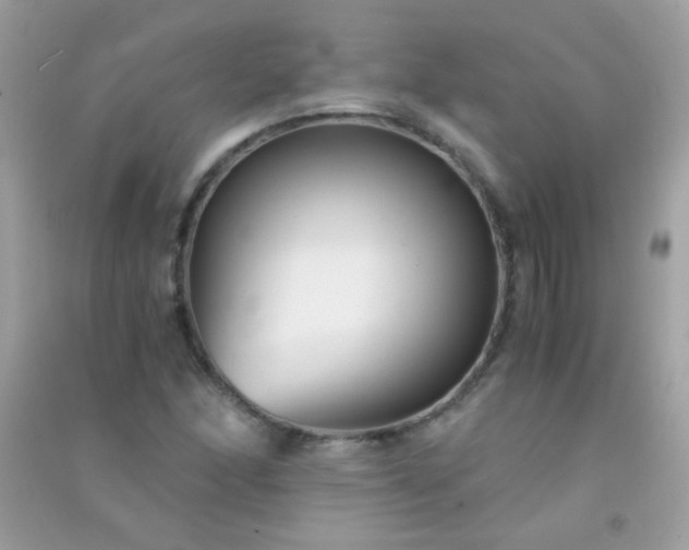 X0000091301166200708172203