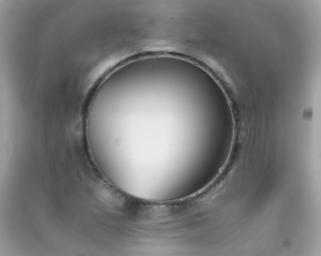 X0000091301167200708172203