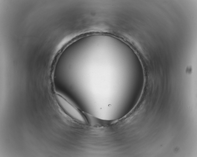 X0000091301168200708172203