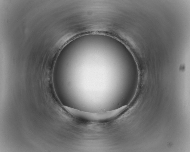 X0000091301169200708172203