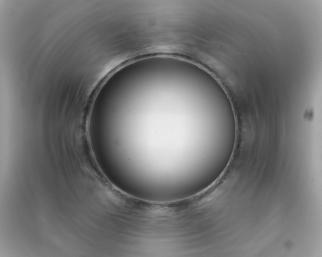 X0000091301170200708172203