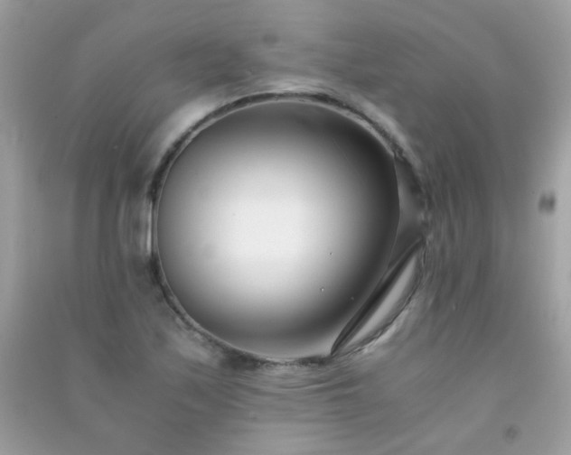 X0000091301171200708172203