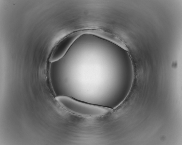 X0000091301172200708172203