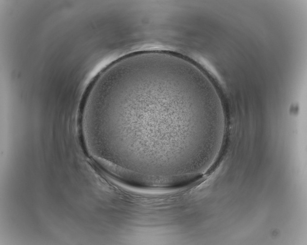 X0000091301173200708172203