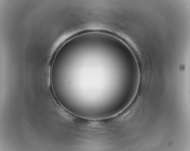 X0000091301175200708172203