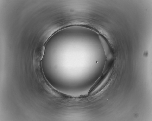 X0000091301177200708172203