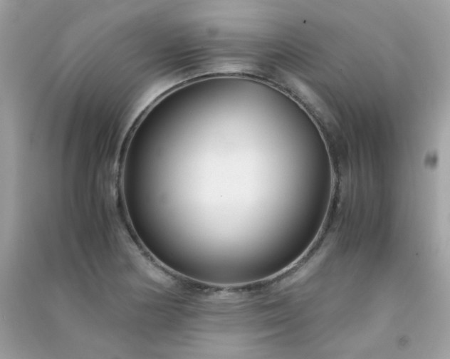 X0000091301178200708172203