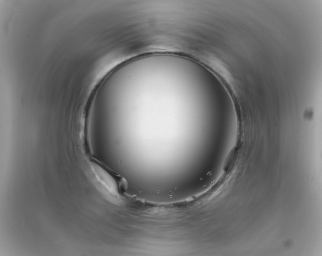 X0000091301179200708172203