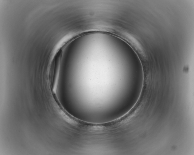 X0000091301180200708172203