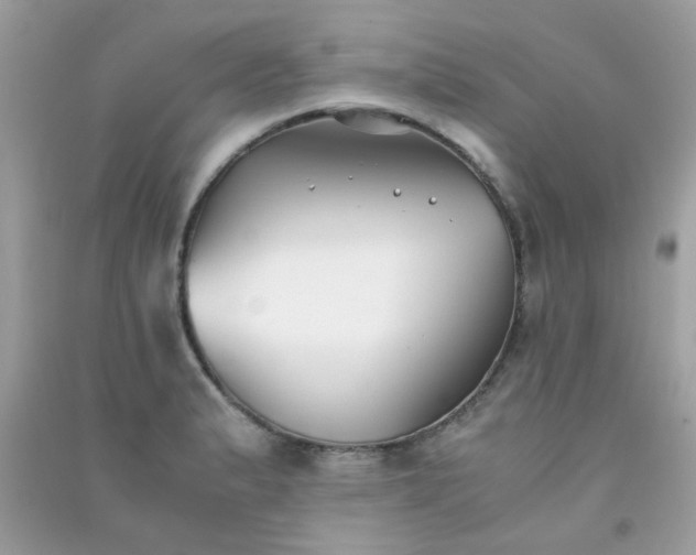 X0000091301183200708172202