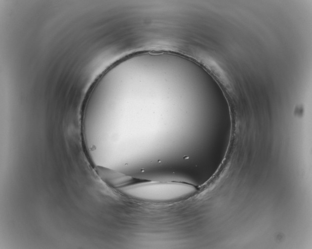 X0000091301184200708172202