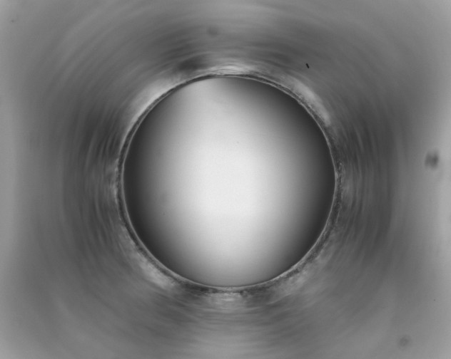 X0000091301186200708172202